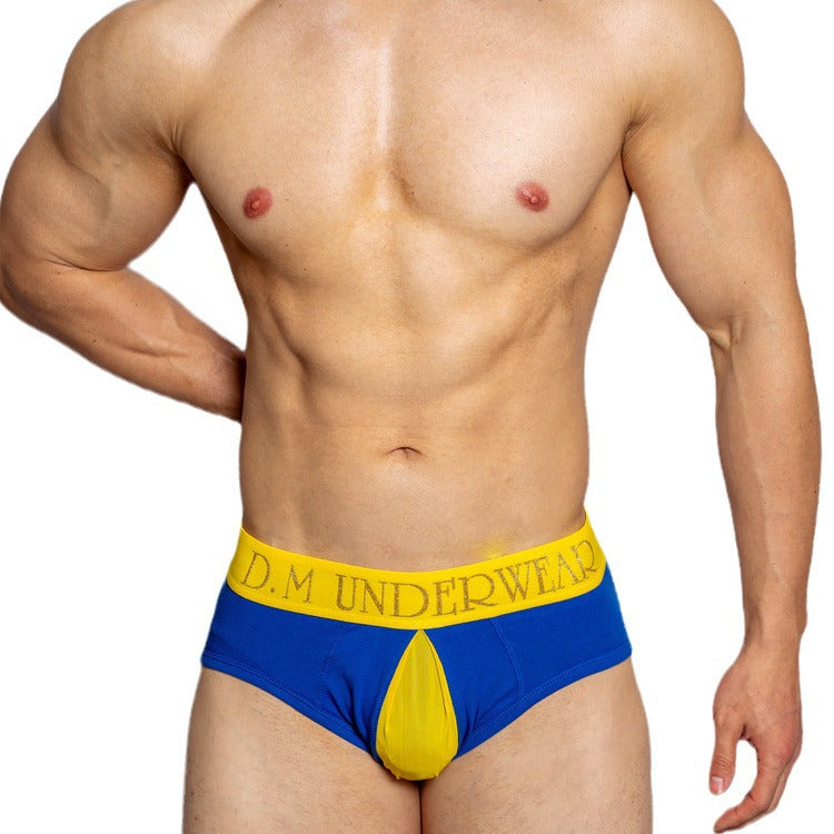Low Waist Transparent Mesh Open Briefs