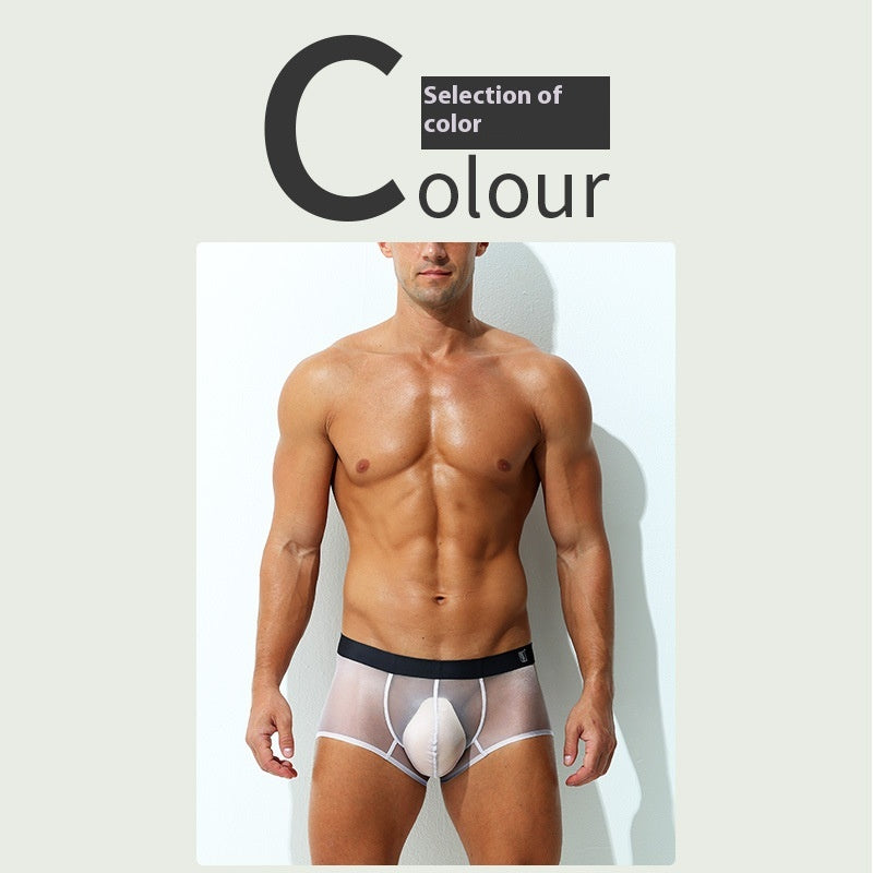 Underwear Men's Boxers Ultra-thin Transparent Ice Silk Low Waist Sexy