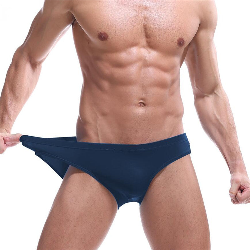 Plus Size Transparent Silky Men's Underwear Briefs