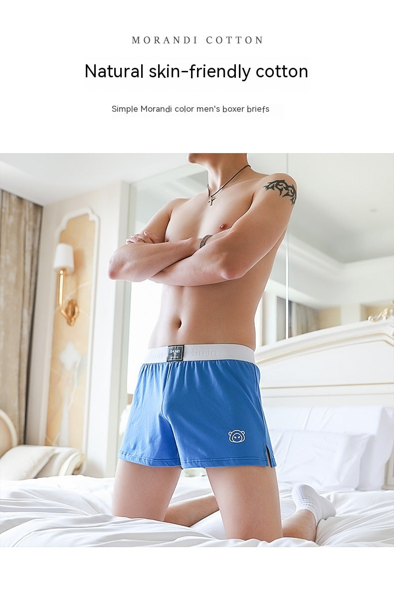 Men's Purified Cotton Underwear Comfortable Breathable Personality Plus Size Boxer Briefs