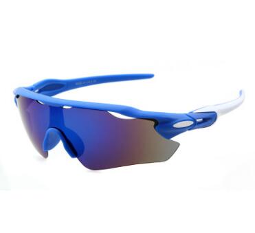 Cycle ELITE Polarized Sunglasses