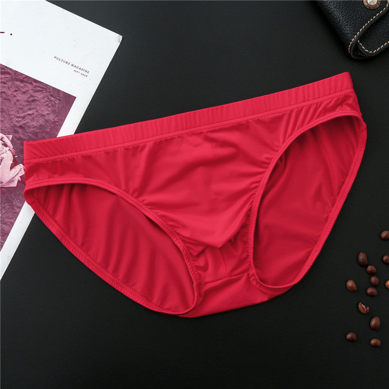 Plus Size Transparent Silky Men's Underwear Briefs