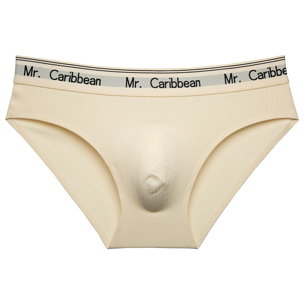 Men's Mid-waist Sports Style With Letters Heavy Soft Brushed 3D Pouch One-piece Briefs Underwear