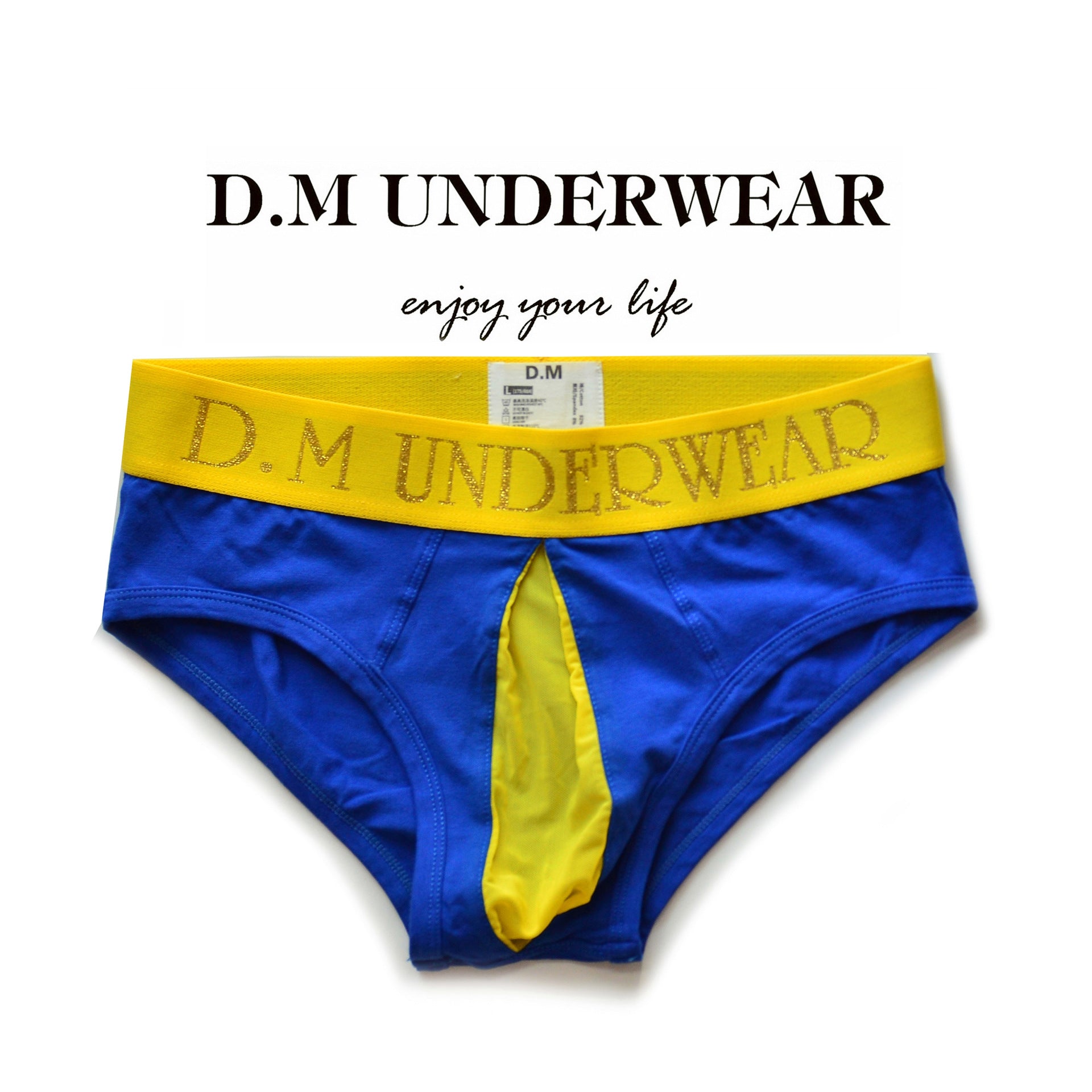 Low Waist Transparent Mesh Open Briefs