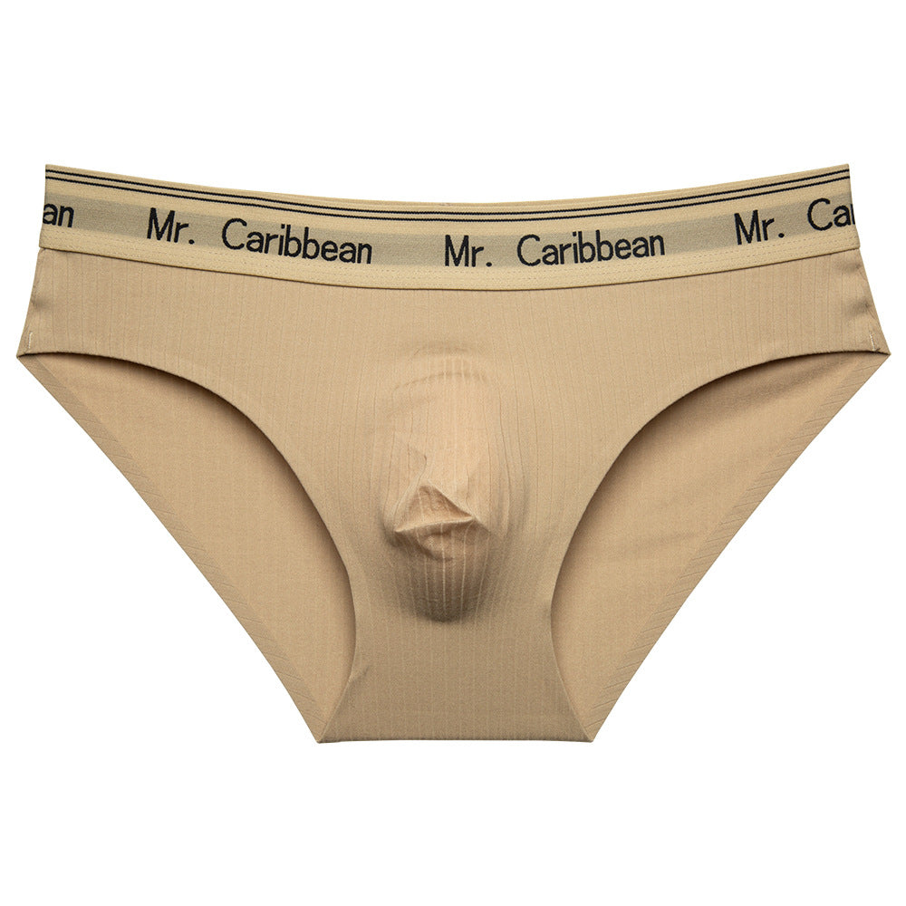 Men's Mid-waist Sports Style With Letters Heavy Soft Brushed 3D Pouch One-piece Briefs Underwear