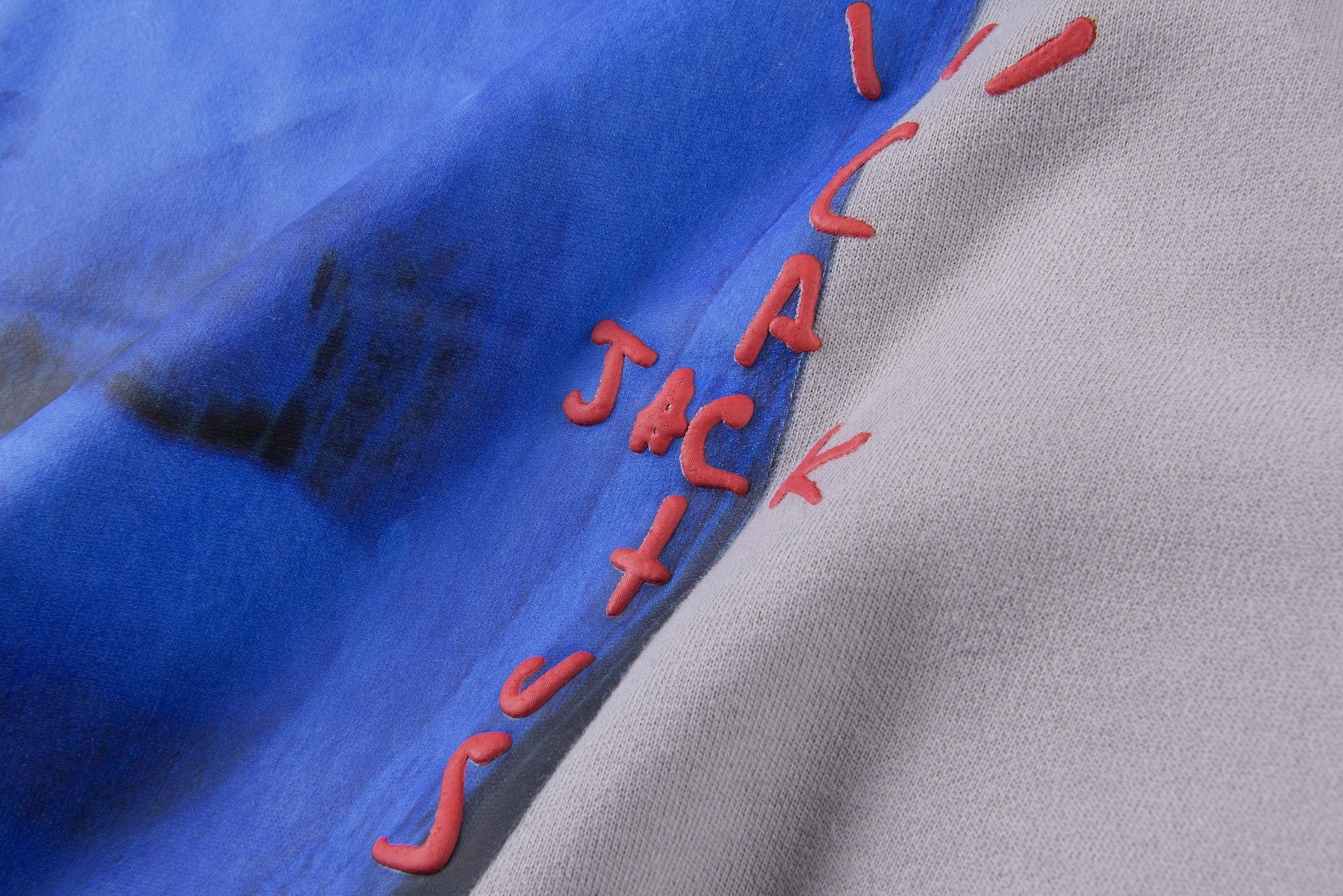 Cactus Jack Digital Girl Hoodie PS Collaboration Hoodie