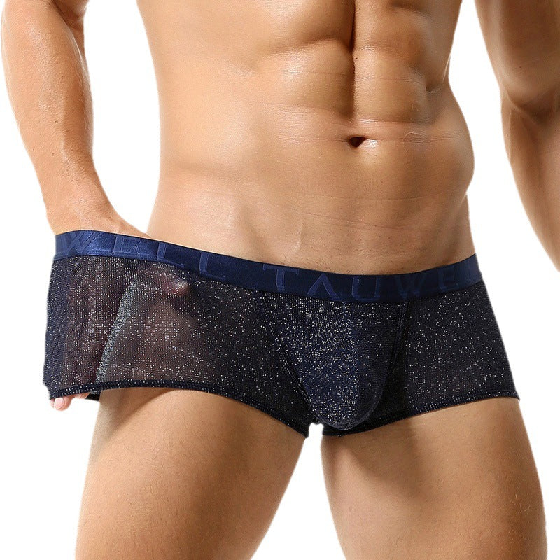 Men's Underwear Low Waist Sexy Mesh U Convex Men's Boxers Bright Men's Boxer Underwear