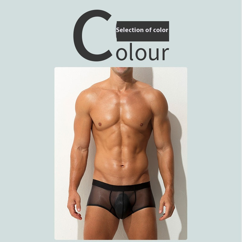 Underwear Men's Boxers Ultra-thin Transparent Ice Silk Low Waist Sexy