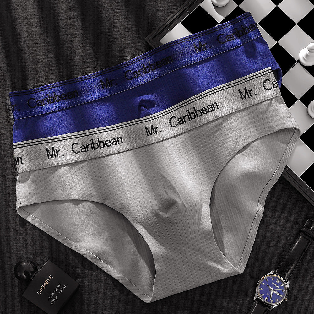 Men's Mid-waist Sports Style With Letters Heavy Soft Brushed 3D Pouch One-piece Briefs Underwear