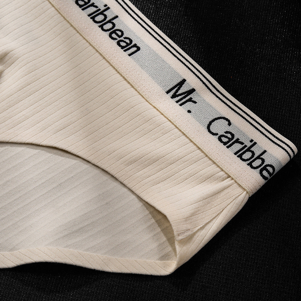 Men's Mid-waist Sports Style With Letters Heavy Soft Brushed 3D Pouch One-piece Briefs Underwear