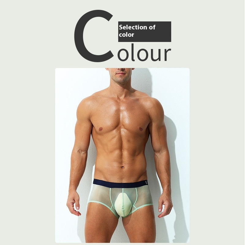 Underwear Men's Boxers Ultra-thin Transparent Ice Silk Low Waist Sexy